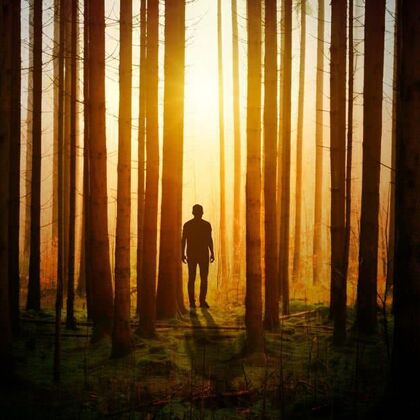 ¿De dónde viene el hombre? ¿Creación o evolución?