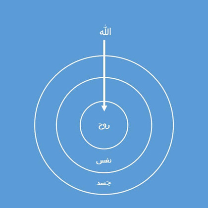 سر حياة الإنسان