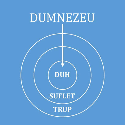 Taina Vieţii Omeneşti